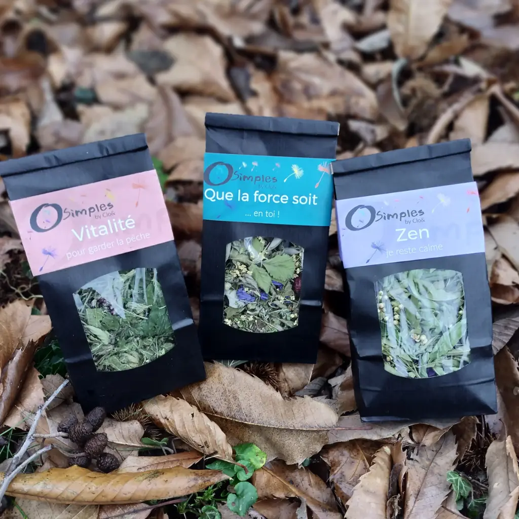 Tisane "Vitalité" de Chloé (25g)