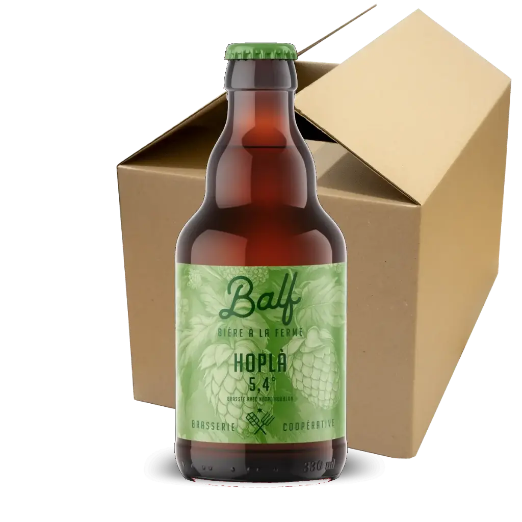 Hoplà - Carton 12 bières (webshop)