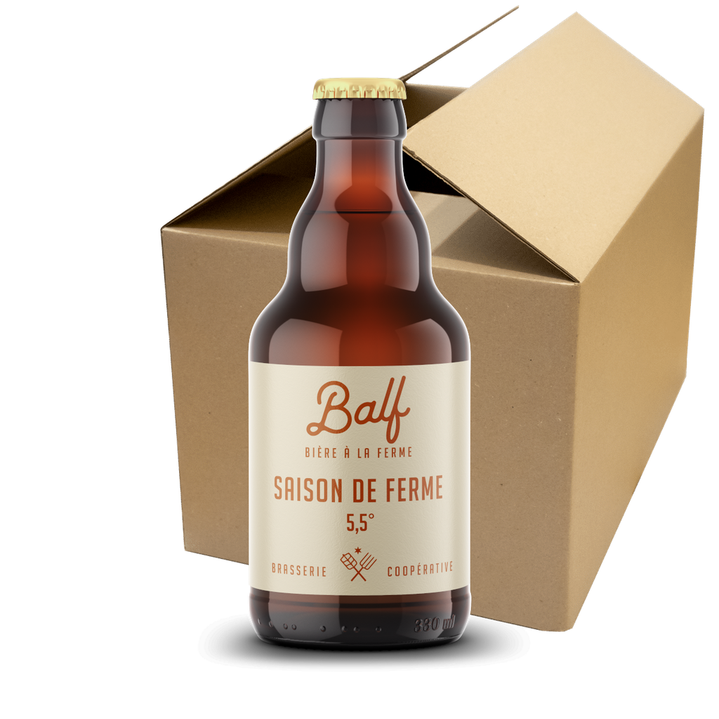 Saison - Carton 12 bières (webshop)