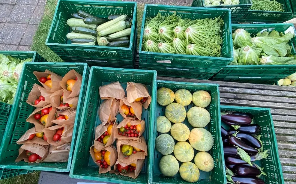 Abonnement panier de légumes bio "Famille" 🥕🥕🥕