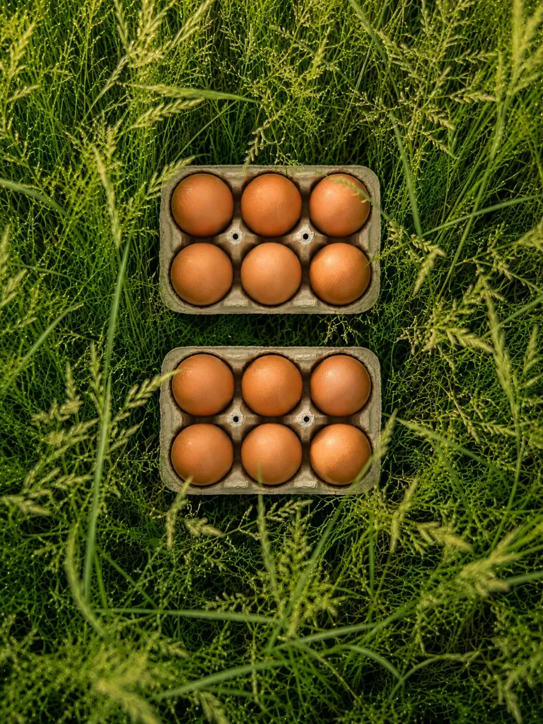 Abonnement 12 oeufs bio🥚 (12 sem.)