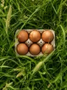 6 oeufs