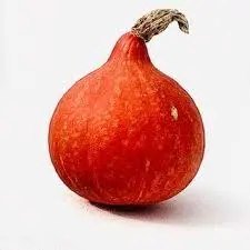 Potimarron de Ma Ferme (Pièce)